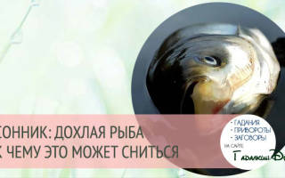 Видеть во сне дохлую рыбу сонник